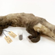 La comadreja disecada. Imagen: Museo de Historia Natural de Rotterdam